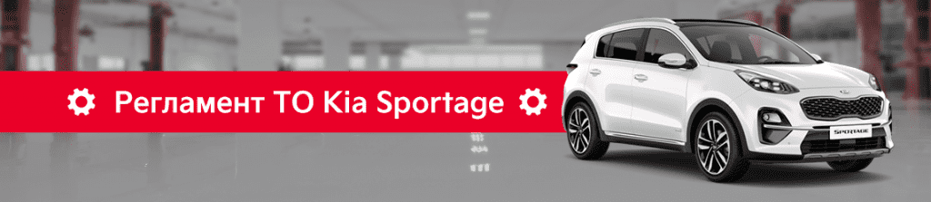 210624_reglament-to_avto-sportage.png 210624_reglament-to_avto-sportage.png